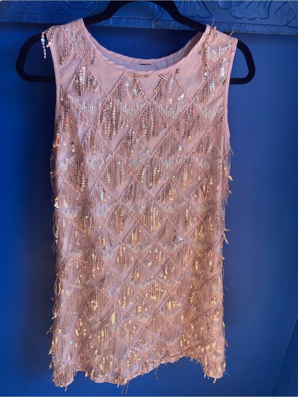 Blush Sequin Beaded Sleeveless Top